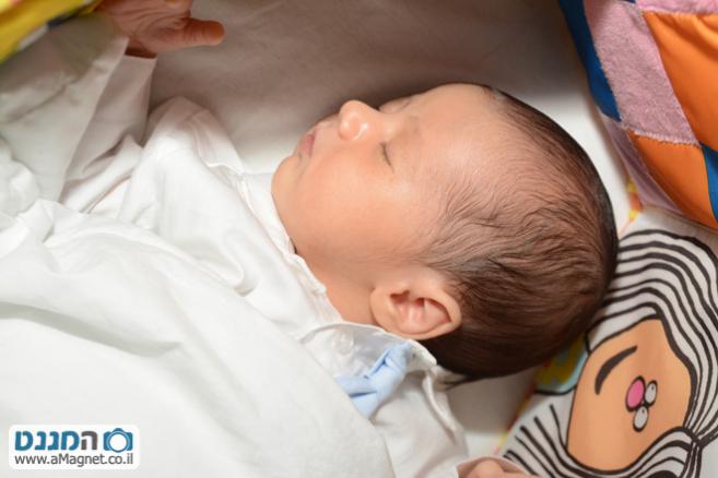 תמונה גדולה